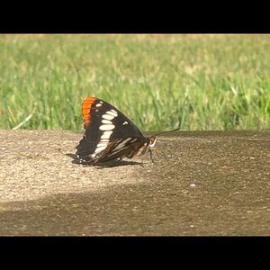 Meet your Posher, Catherine